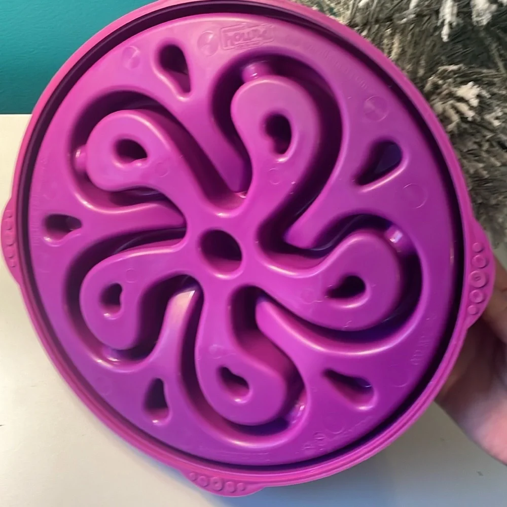 Outward Hound Fun Feeder Slow Feeder Large Dog Bowl